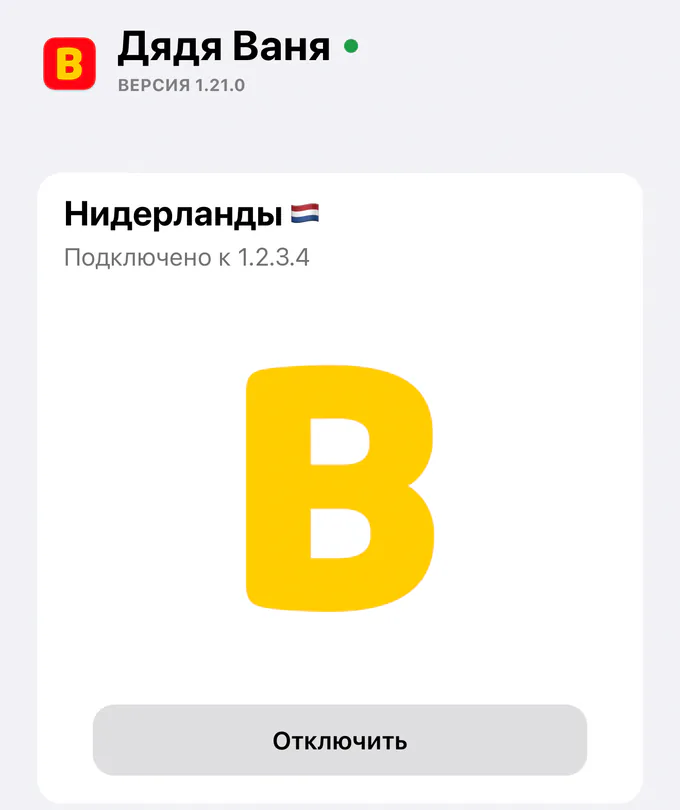 Экран приложения на iPhone: VPN подключён, локация Нидерланды